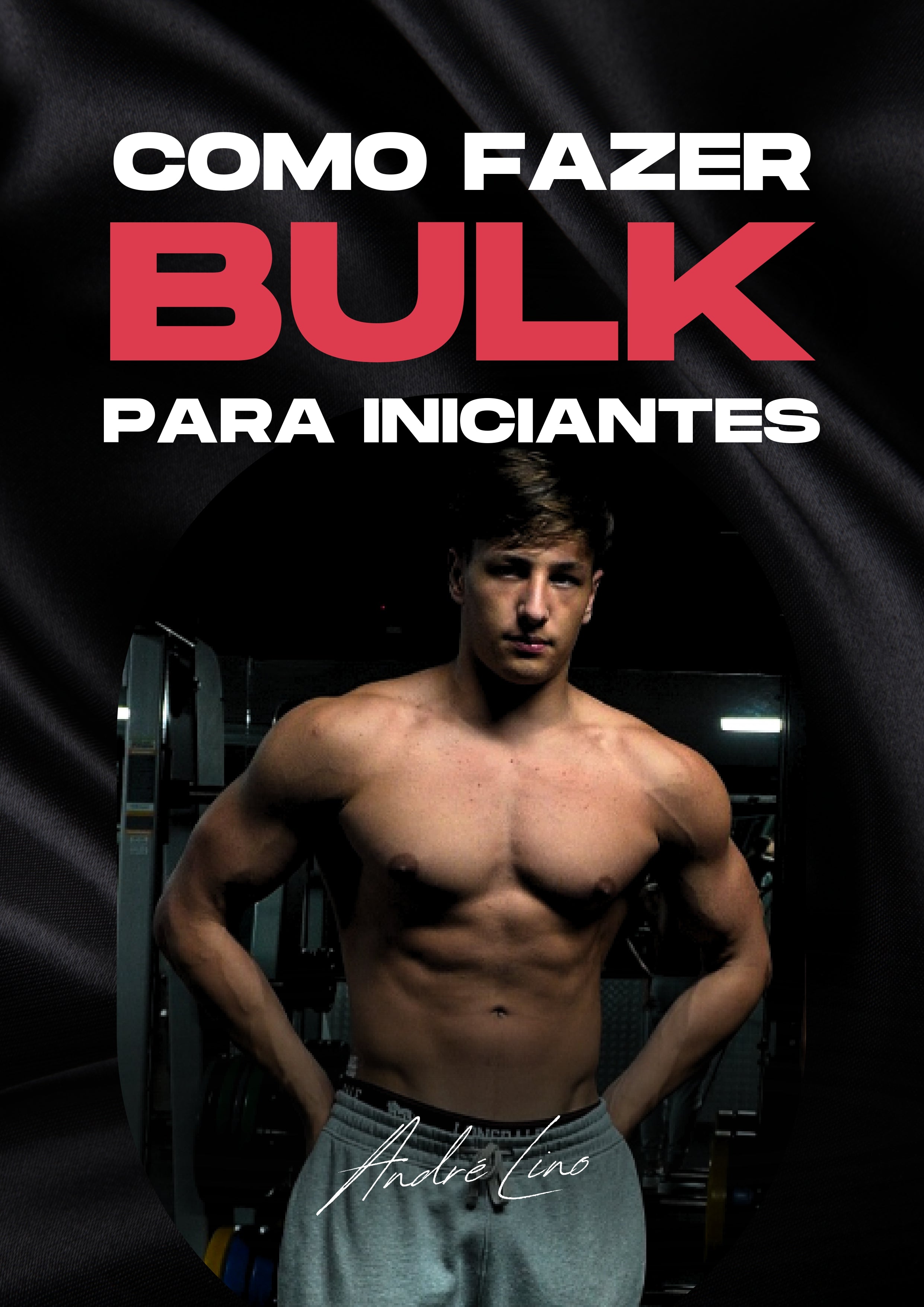 Bulk para Iniciantes